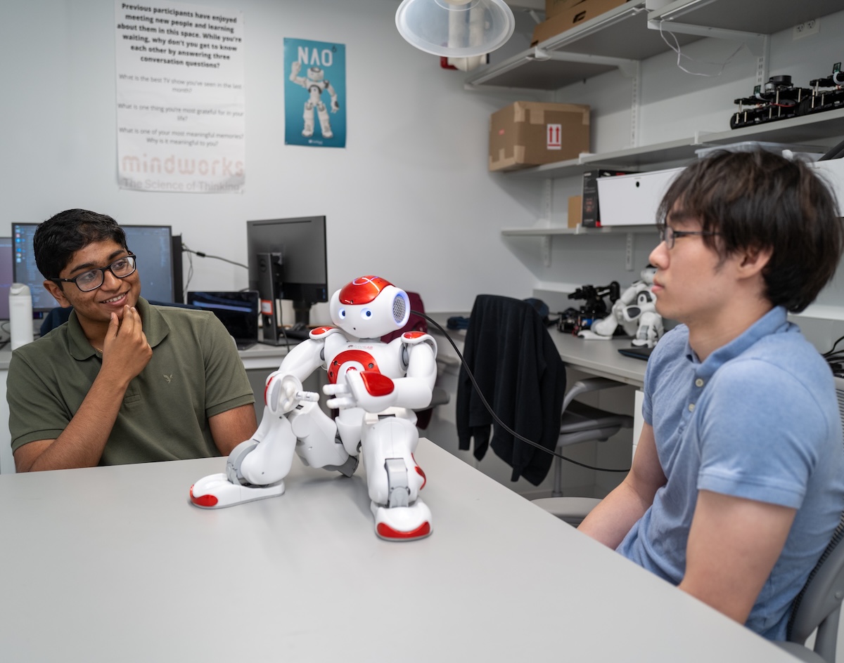Robots and Group Dynamics